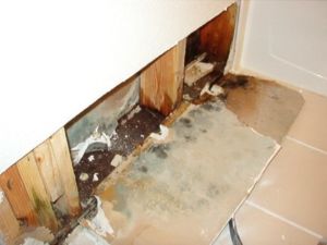 water-damage-inspection